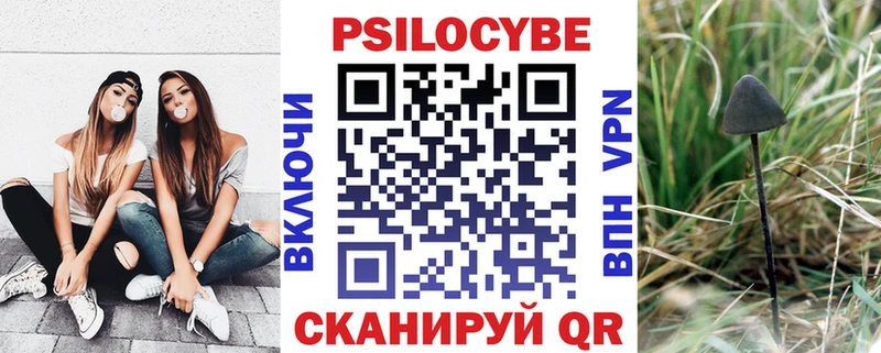 Псилоцибиновые грибы MAGIC MUSHROOMS  дарнет шоп  Трубчевск 